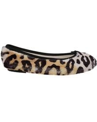 Repetto - Animal Print Ballet Flats - Lyst