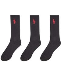 Polo Ralph Lauren - 3 Pack Big Polo Pony Crew Sock - Lyst