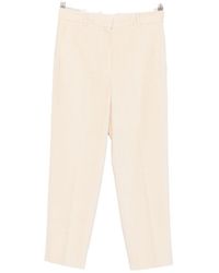 Circolo 1901 - Corduroy-Effect Tailored Trousers - Lyst