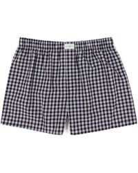 Tommy Hilfiger - Checkered Shorts - Lyst