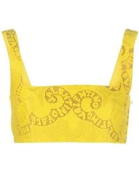 Valentino - Cropped Pointelle-Lace Top - Lyst