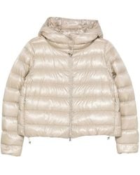 Herno - Quilted Jacket - Lyst