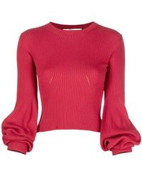 Stella McCartney - Juliet Sleeves Crew Neck Jumper - Lyst