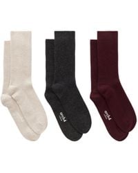 arch4 - Set Of Three Ribbed Cashmere Socks - Lyst