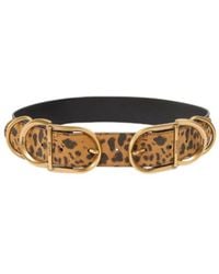 Pinko - Leopard Printed Buckle Belt - Lyst