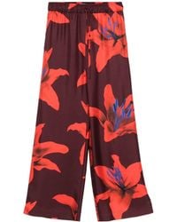 McQueen - Floral Print Pants - Lyst