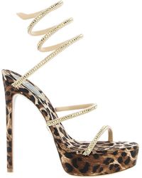 Rene Caovilla - Cleo Leopard-Print Sandals - Lyst