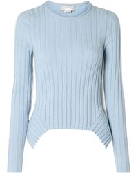Stella McCartney - Crew Neck Ribbed Knit Sweater - Lyst