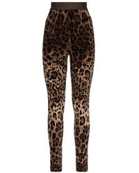 Dolce & Gabbana - Leggings - Lyst