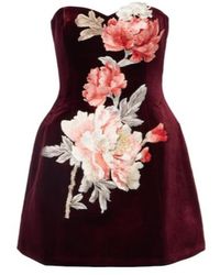 Leo - Rosario Floral-Appliqué Velvet Minidress - Lyst