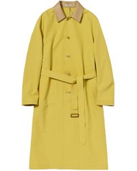 AURALEE - Belted Contrast-Collar Coat - Lyst