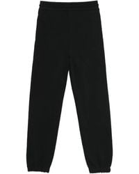 MSGM - Cotton Track Pants - Lyst