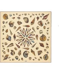 Loro Piana - Printed Patterned Silk Scarf - Lyst