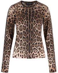 Dolce & Gabbana - Leopard Printed Knitted Jumper - Lyst