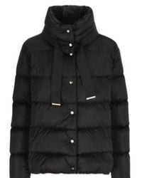 Herno - High-Neck Drawstring Padded Jacket - Lyst