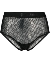 Palm Angels - Logo-Waistband Lace Briefs - Lyst