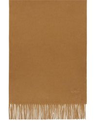 Max Mara - Cashmere Stole With Embroidery And Fringing - Lyst