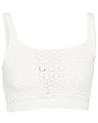 MAX&Co. - Sleeveless Knit Crop Top - Lyst