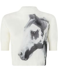 Pinko - Horse-Print Knit Top - Lyst