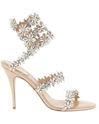 Rene Caovilla - René Caovilla Eva Heeled Sandals - Lyst