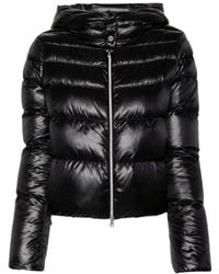 Herno - Puffer - Lyst