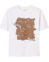 Twinset - Floral-Embroidered T-Shirt - Lyst