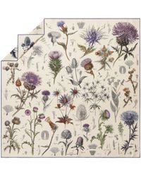 Loro Piana - Enciclopedia Del Cardo Silk Scarf - Lyst