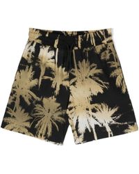 MSGM - Palm Tree-Print Bermuda Shorts - Lyst