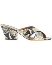 Paris Texas - 60Mm Arizona Mules - Lyst