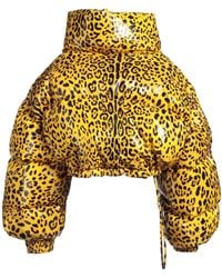 Dolce & Gabbana - Leopard Print Down Jacket - Lyst