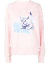 MSGM - Cat-Print Sweatshirt - Lyst