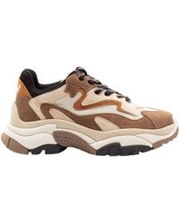 Ash - Round-Toe Sneakers - Lyst