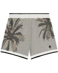 Palm Angels - Palms-Jacquard Kniited Shorts - Lyst