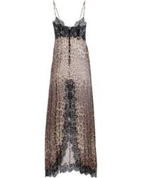 Dolce & Gabbana - Lace-Trimmed Silk-Blend Chiffon Slip Dress - Lyst