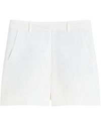 Max Mara - 'S Party Tailored Shorts - Lyst