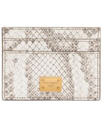 Dolce & Gabbana - Python Card Holder - Lyst