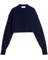 Sportmax - Crewneck Long-Sleeved Jumper - Lyst
