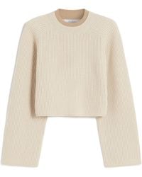 Max Mara - Funale Crewneck Jumper - Lyst