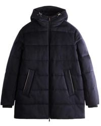 Tod's - Hooded Cotton-Padded Jacket - Lyst