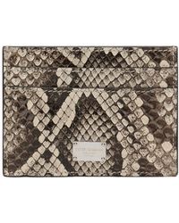 Dolce & Gabbana - Python Skin Card Holder - Lyst