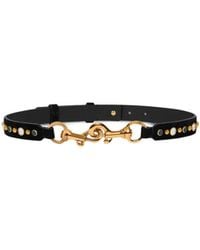 Etro - Suede Pony Belt With Jewel Studs - Lyst