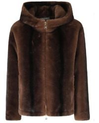 ERMANNO FIRENZE - Zip-Up Hooded Jacket - Lyst