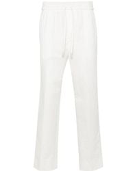 Brioni - Asolo Tailored Fit Pants - Lyst