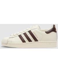adidas - Superstar Ii Sneaker /Auburn/Off - Lyst