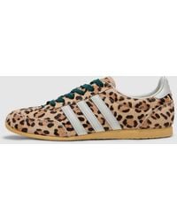 adidas - Japan Sneaker (Magic/Ivory/Aurora Ivy - Lyst