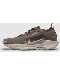 Nike - Pegasus Trail 5 Gore-Tex Sp Sneaker - Lyst