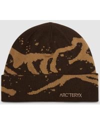 Arc'teryx - Grotto Toque Beanie (Carob/ Canvas - Lyst