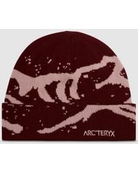 Arc'teryx - Grotto Toque Beanie (Mars/ Bliss - Lyst