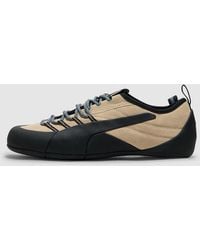 PUMA - Klim Sneaker (Granola - Lyst