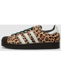 adidas - Superstar Ii Sneaker (Dark/Ivory/Leopard - Lyst